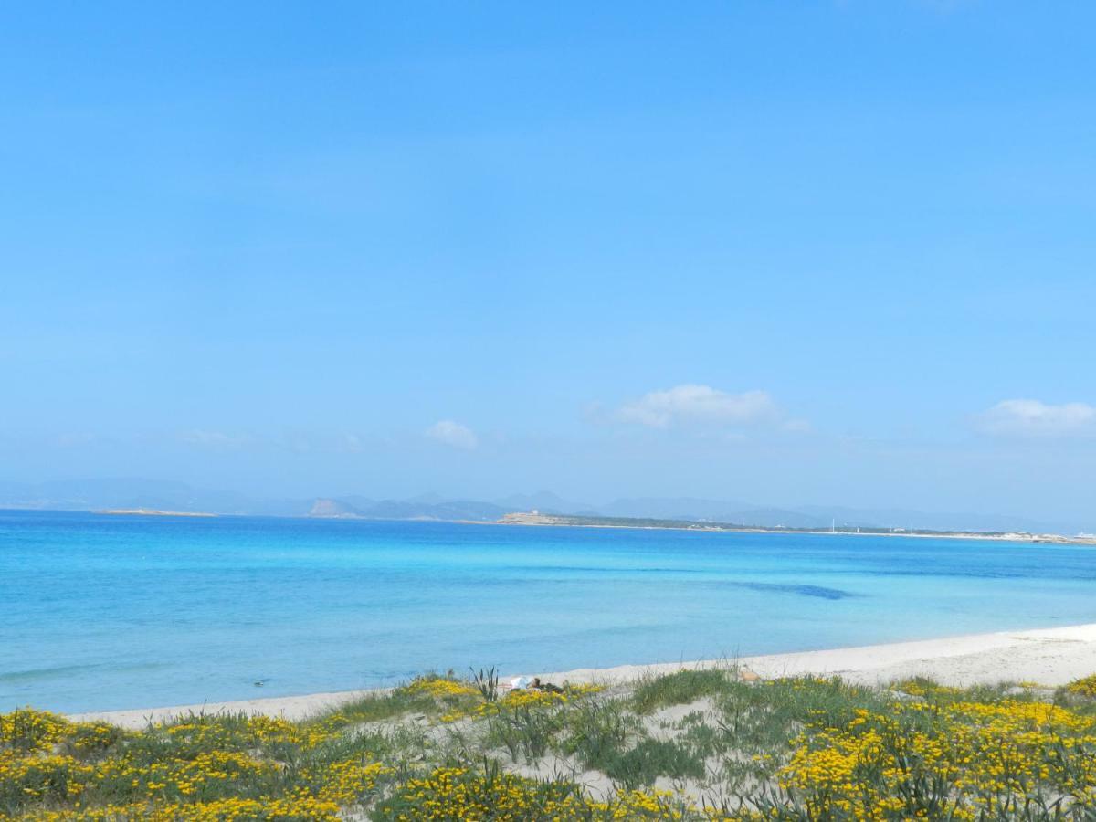 Casa Marcos Apartman Playa Migjorn Kültér fotó